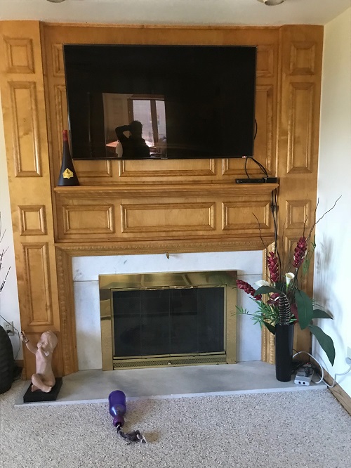 Wood burning fireplace insert