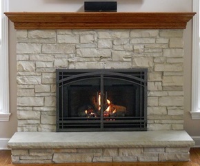 Madrid fireplace door by Design Specialties